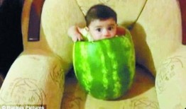 小能手吃瓜爆料视频,揭秘娱乐圈幕后真相